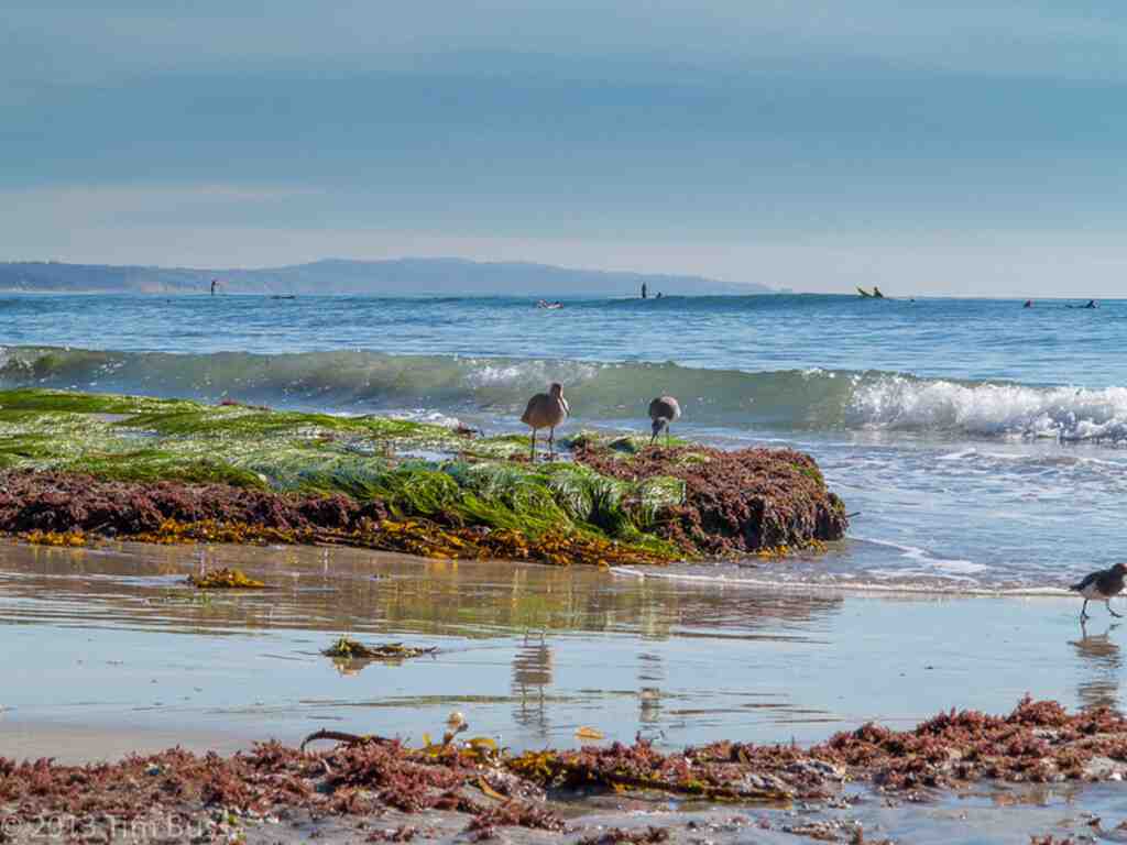 Why is Encinitas famous?