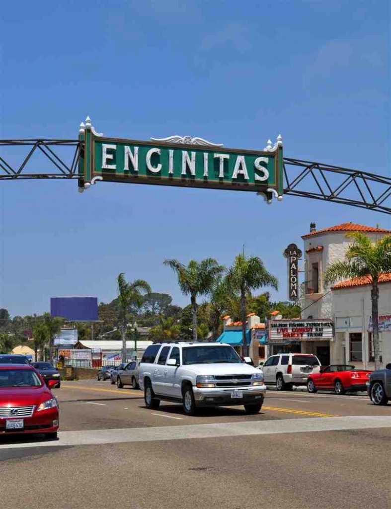 What are the demographics of Encinitas CA?